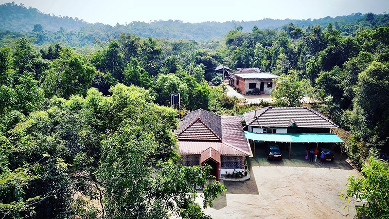 Birds Nest Homestay photo 1