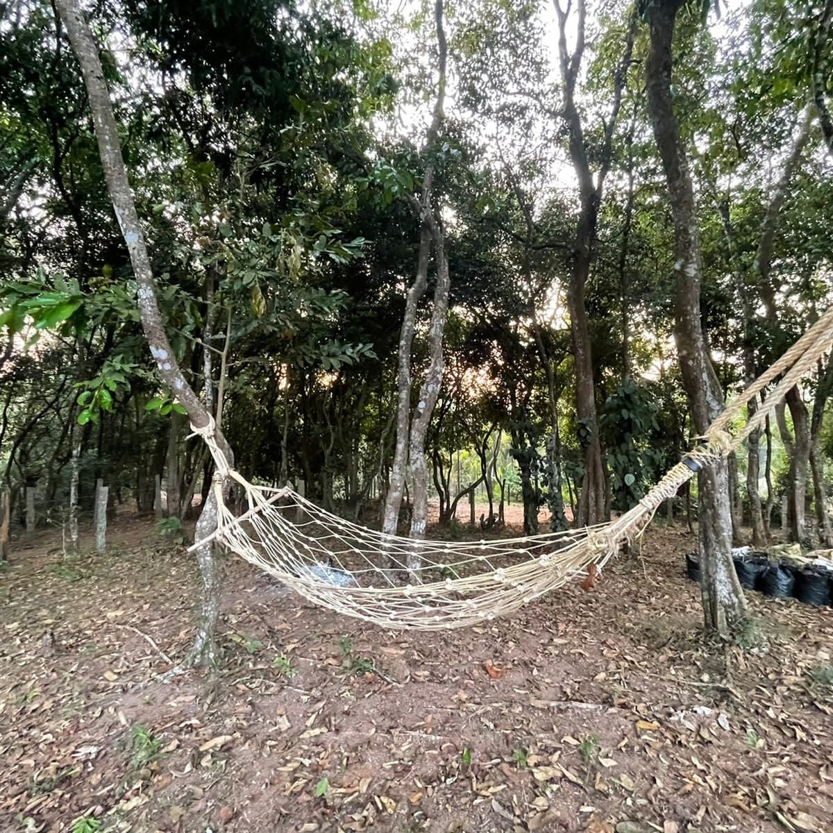 Birds Nest Homestay photo 5