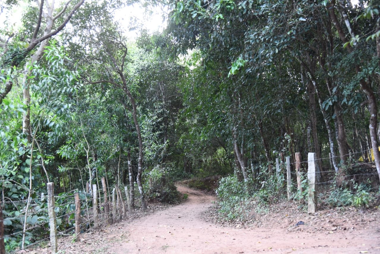 Homestay rooms